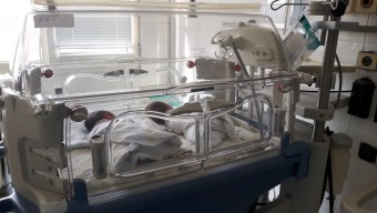 Бум на близнаци в УМБАЛ Бургас, 8 двойки родени за…